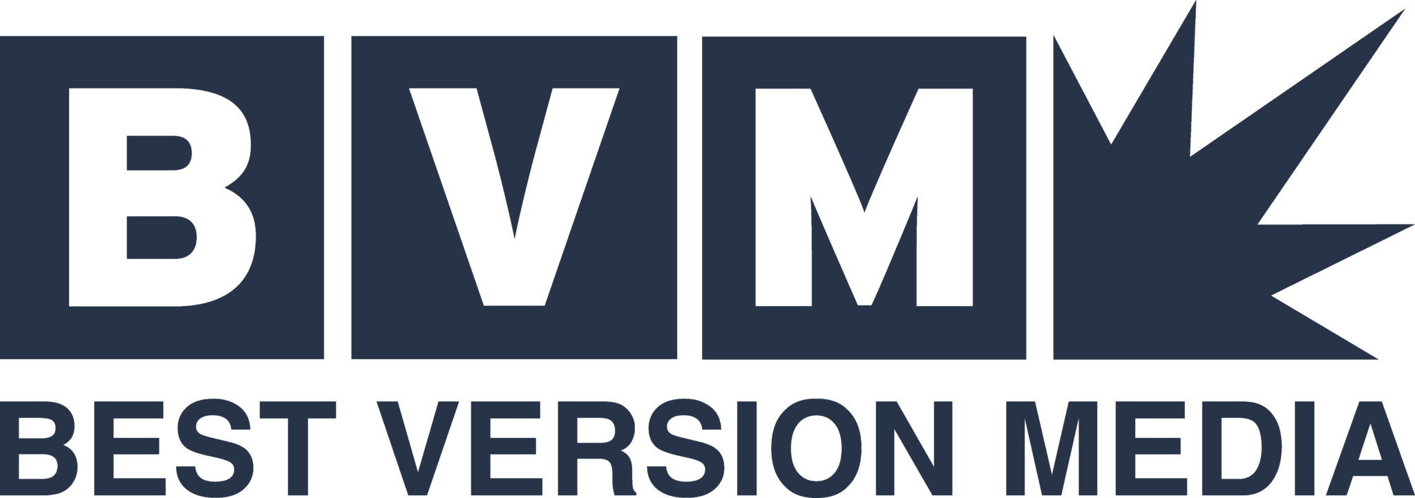 Bvm Media