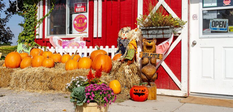 Win More Customers This Fall With Digital Advertising: A Complete Halloween Guide | Digital Advertising Guide for Local Businesses During Halloween