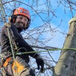 Ask the Expert: Is Winter a Good Time to Trim or Remove a Tree?