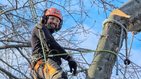 North Ridge Forestry tree worker