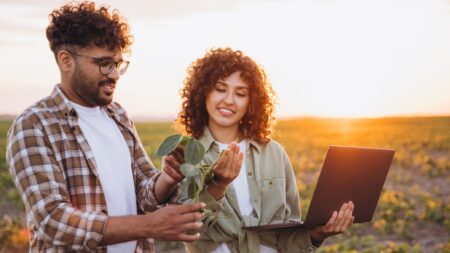 Agronomists examining soybean plant in field biotechnology