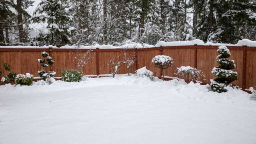 Winter Landscaping … “Snow-scaping”
