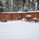 Winter Landscaping … “Snow-scaping”