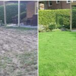 Fresh Start: Spring Lawn Planning, Preparation & Recovery