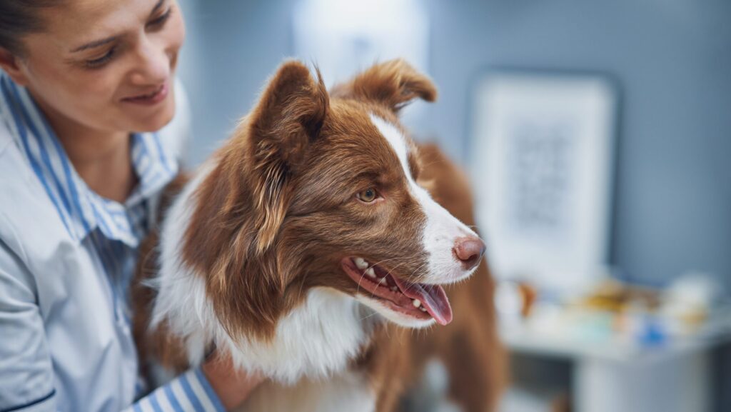 Don’t be Fooled by this Sneaky Disease