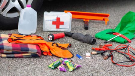 Bryan R Daybell Insurance Agency Inc, State Farm Emergency Kit