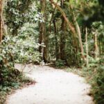 Supporting Seniors and the Newly Single:  How Life Transitions Shape the Way We Move Forward