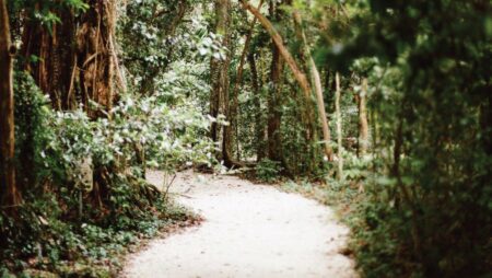 Corcoran Icon Properties Supporting Life Transitions