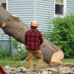 Arbor Tech: A Trusted Name in Tree Care Across Virginia