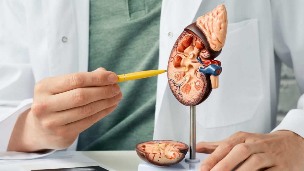 Brenda’s Kidney Health Transformation Through Holistic Wellness in Birmingham