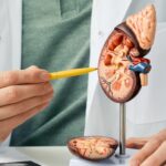 Brenda’s Kidney Health Transformation Through Holistic Wellness in Birmingham