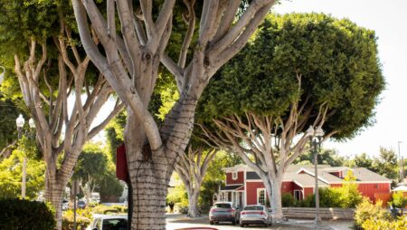 Downtown Tustin California