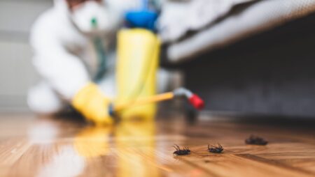 Exterminator spraying bugs inside with pesticide