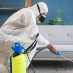 Cold Weather Comfort Starts With a Pest-Free Home