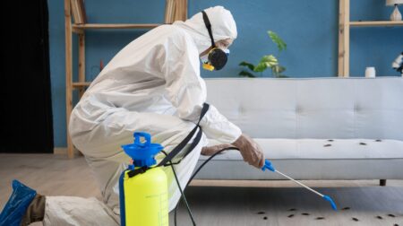 Exterminator spraying cockroaches inside house