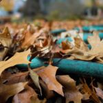 Colin’s Corner: Winterizing House and Home