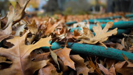 Fall setting with hose winterizing yard