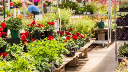 Flowers at garden center