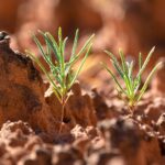 Life on the Edge: Exploring Utah’s Extreme Environments