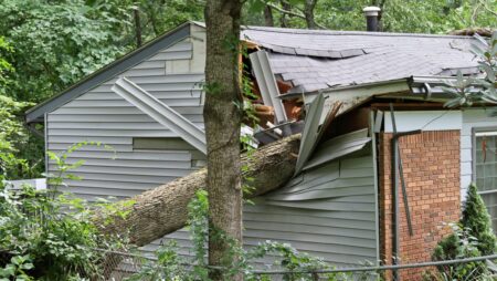 House damaged by large oak tree