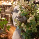 Quick Tips for Caring for Indoor Plants from Samantha’s Gardens