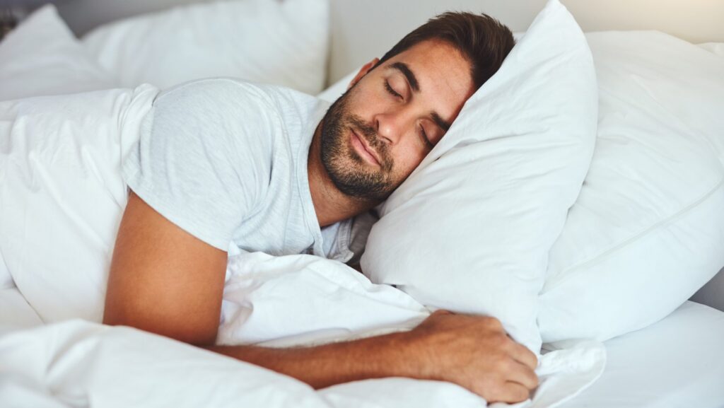 Longevity Happens at Night