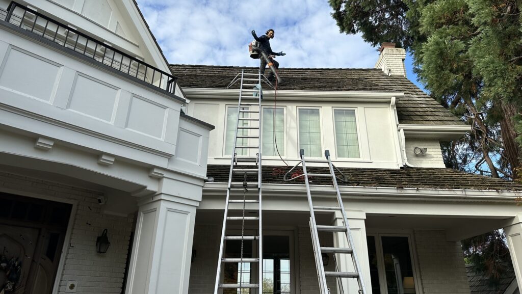 Pacific Northwest Winter Recovery: Brighten Up Your Home for 2026