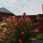 Mercy Academy: Exciting Upcoming Events for Future Jaguars