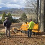 How to Detect Tree Decline Early and Protect Your Property