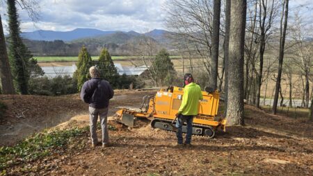 Mountain Woods Services LLC Detecting Tree Decline