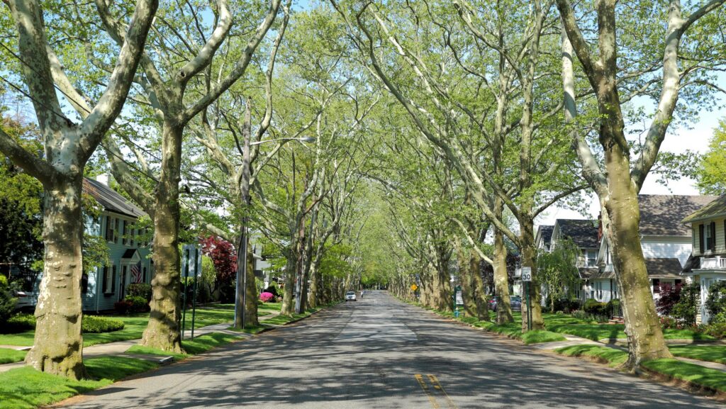 What to Expect for the 2026 Housing Market