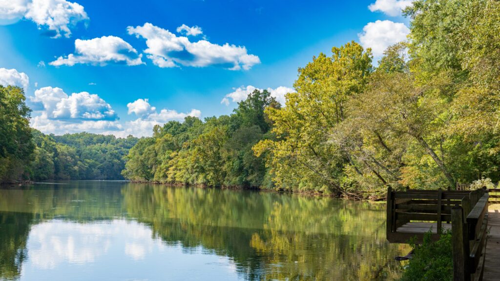 North Fulton Real Estate: Lessons From 2025 and What to Expect in 2026