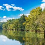 North Fulton Real Estate: Lessons From 2025 and What to Expect in 2026