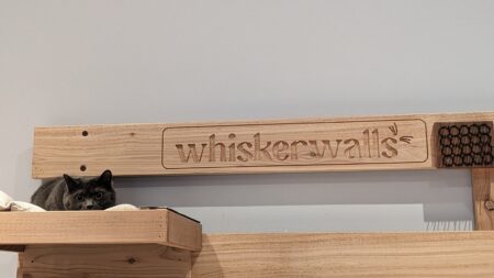 The Whiskerwall Cat Playtime Sunrise Woodwork