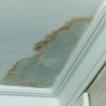 Start the New Year Dry, Safe, and Stress Free: What Every Homeowner Should Know About Water Damage