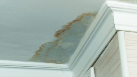 Water damage stained ceiling