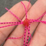 It’s Time for Tonka Ice: This Season’s Must-Have Tackle and Tricks