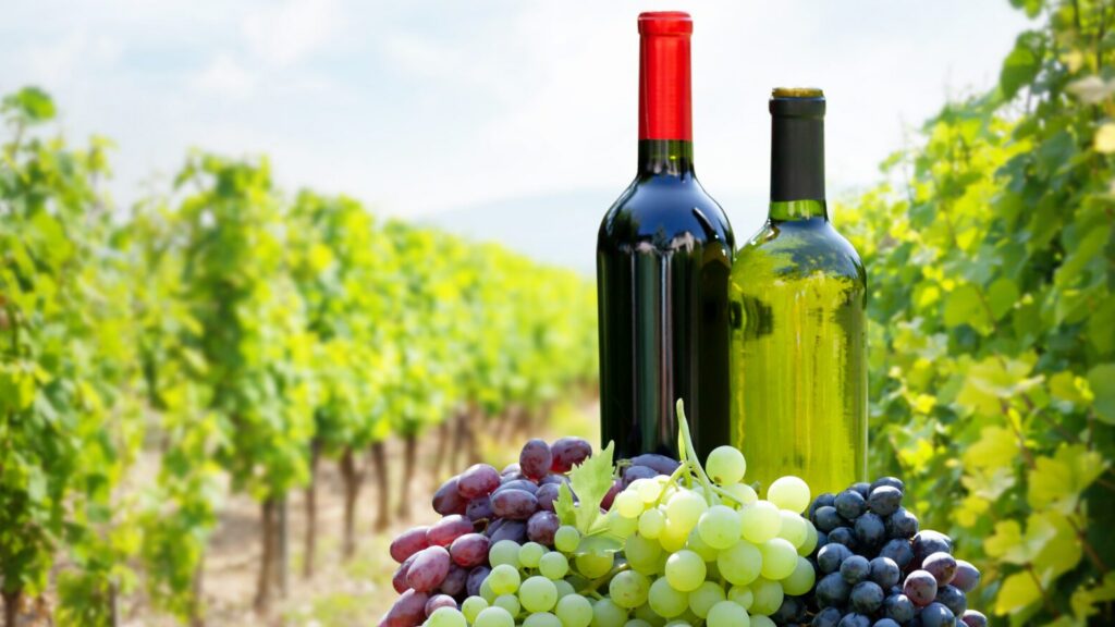 New Year, New Glass: Exploring the Rhône Wines of Livermore Valley