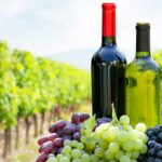 New Year, New Glass: Exploring the Rhône Wines of Livermore Valley