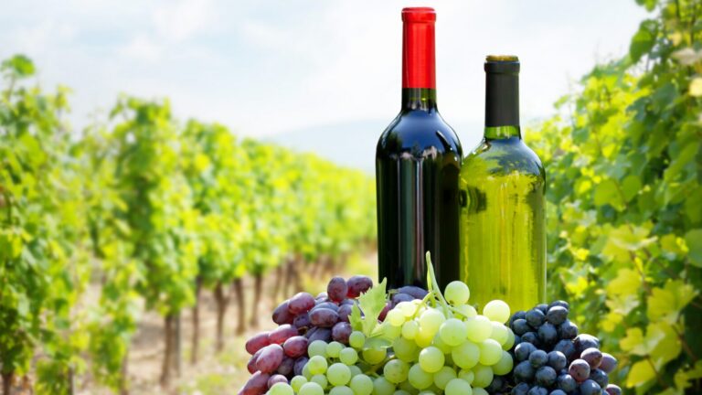 A Toast to Love: Exploring the World of Sparkling Wines this Valentine’s Day