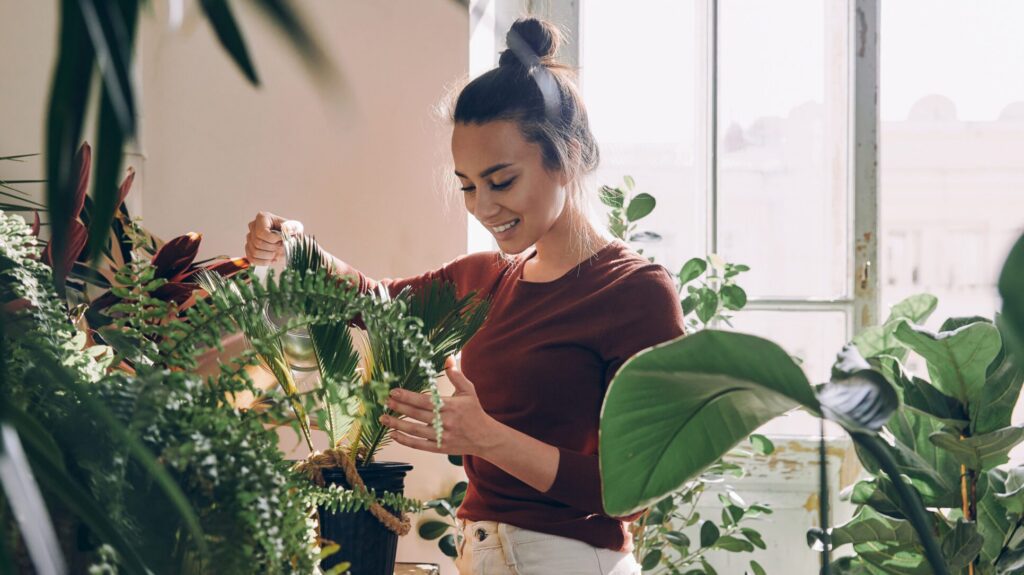 Planting Ahead: Indoor Herbs for an Early Spring Harvest