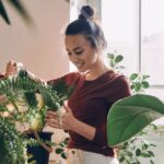 Winter Gardening Indoors