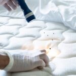 The Ugly Truth About Bed Bugs: How They Sneak Into Your Home