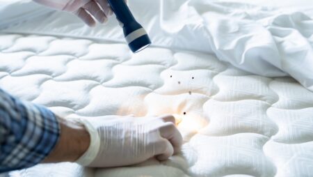 Bed Bug Infestation And Treatment Service