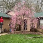 Winter: The Smart Season to Start Planning with Solid Rock Roofing