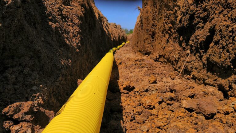 5 Signs Your Property Has a Drainage Problem