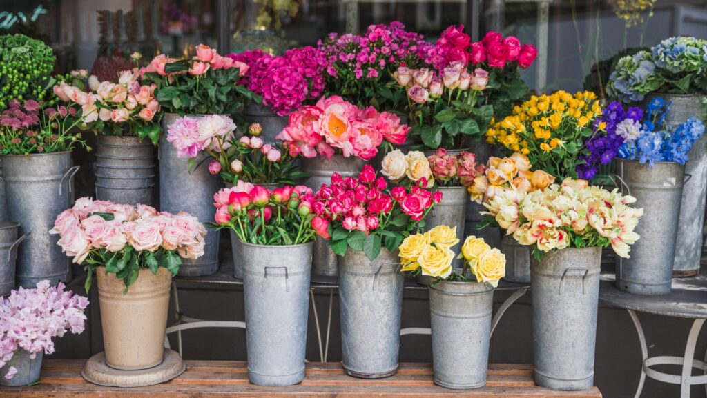 Starting the New Year in Bloom