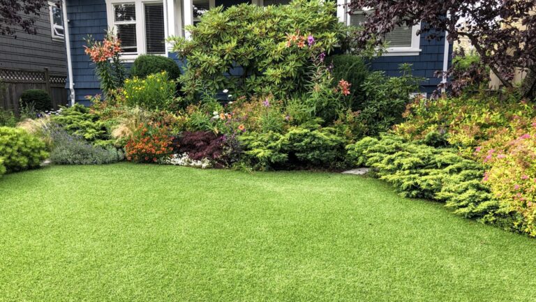 Growing Success: Why Quality Plants—and Expert Guidance—Make All the Difference in Your Landscape
