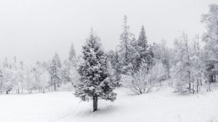 Winter landscape. Taganay national Park, Chelyabinsk region, Sou