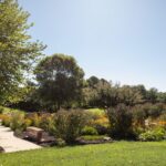 The Benefits of Preplanning Your Burial Estate: Peace of Mind for You and Your Loved Ones